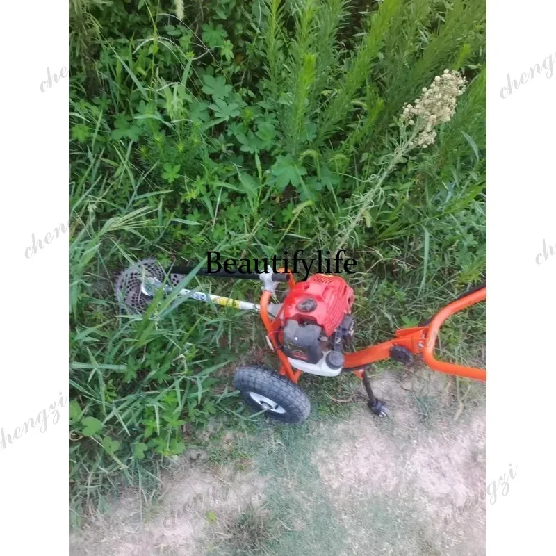 L178 Lawn mower hand push lawn - огляд і ціна Power Tools And Hand Tools